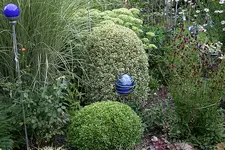 Buchs4010.webp