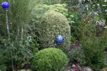 Buchs4010.jpg