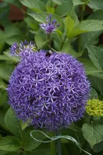 _DSC8503.webp