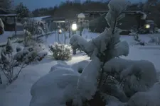 Wintermorgen 4.webp