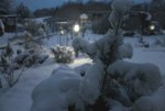 Wintermorgen 4.jpg