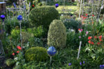 Buchs1208.jpg