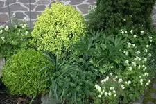 Buchs2209.webp