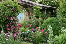 Juni1915.webp