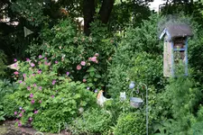 Juni8816ijJPG.webp