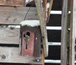 Vogelwohnung frei 4.jpg