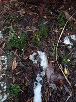 20190201_172837.webp