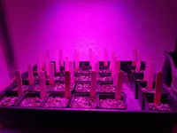 20190201_172628.webp