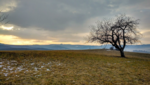 IMG_20190131_155007414_HDR.png