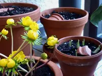 P1050201.webp
