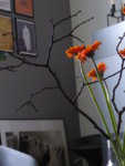 P1050205.JPG