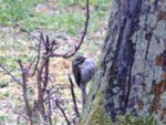 image004.jpg