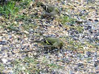 image008.webp