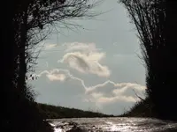 D87BCE16-B1B9-4026-84B7-60687C92BE5D.webp