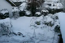 Winter9019e.webp