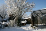 Winter9119 g.JPG