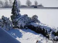 DSC00095.webp