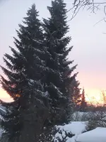 DSCF2103.webp