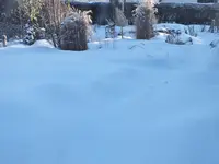 DSCF2121.JPG