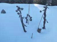 DSCF2122.webp