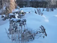 DSCF2123.webp