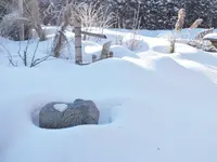DSCF2127.webp