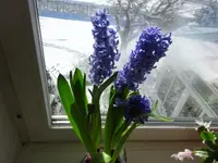 DSC00097.webp