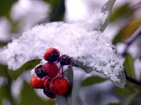 image003.webp