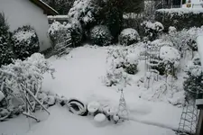 Winter5919.webp