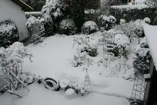 Winter6219.webp
