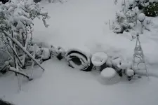 Winter6319.webp