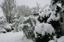 Winter6919.webp