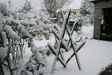 Winter7319.webp