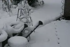 Winter7819.webp