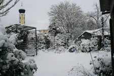 Winter7919.webp