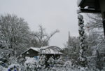 Winter8019.JPG