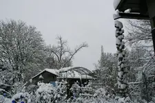 Winter8019.webp