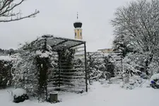Winter8119.webp