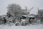 Winter8219.JPG