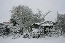 Winter8219.JPG