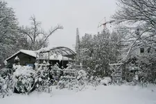 Winter8319.webp