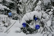 Winter8419.webp