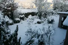 Winter9019i.webp