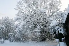 Winter9019o.webp