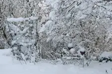 Winter9019p.webp