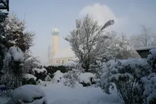 Winter9019s.webp