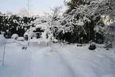 Winter9019x.webp