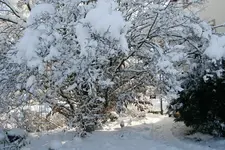 Winter9119 f.webp