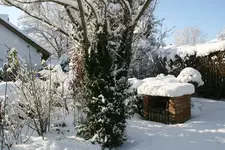 Winter9119 i.webp