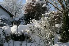Winter9119 k.webp